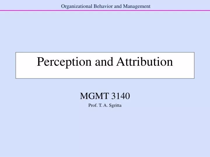 perception and attribution