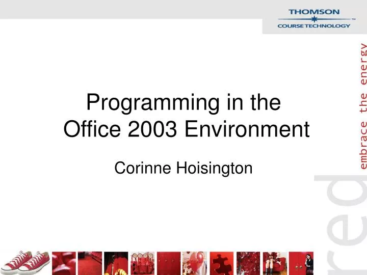 programming in the office 2003 environment