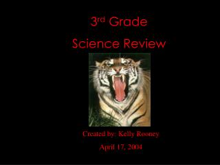 3 rd Grade Science Review