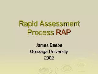 Rapid Assessment Process RAP