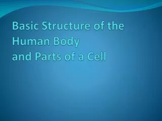 Basic Structure of the Human Body and Parts of a Cell
