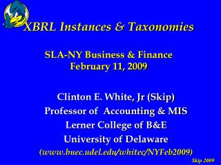 XBRL Instances &amp; Taxonomies SLA-NY Business &amp; Finance February 11, 2009