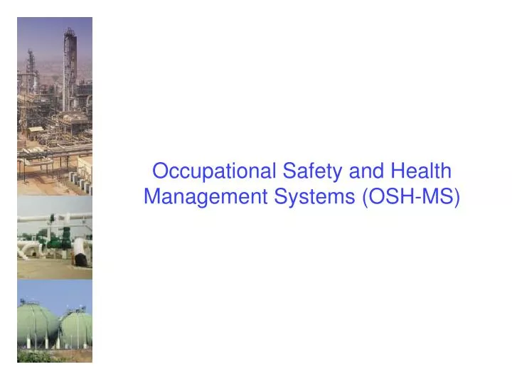 occupational safety and health management systems osh ms