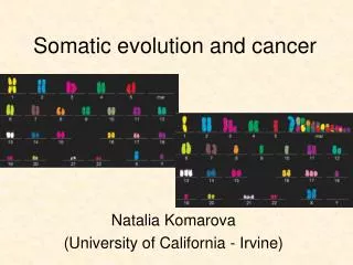 Somatic evolution and cancer