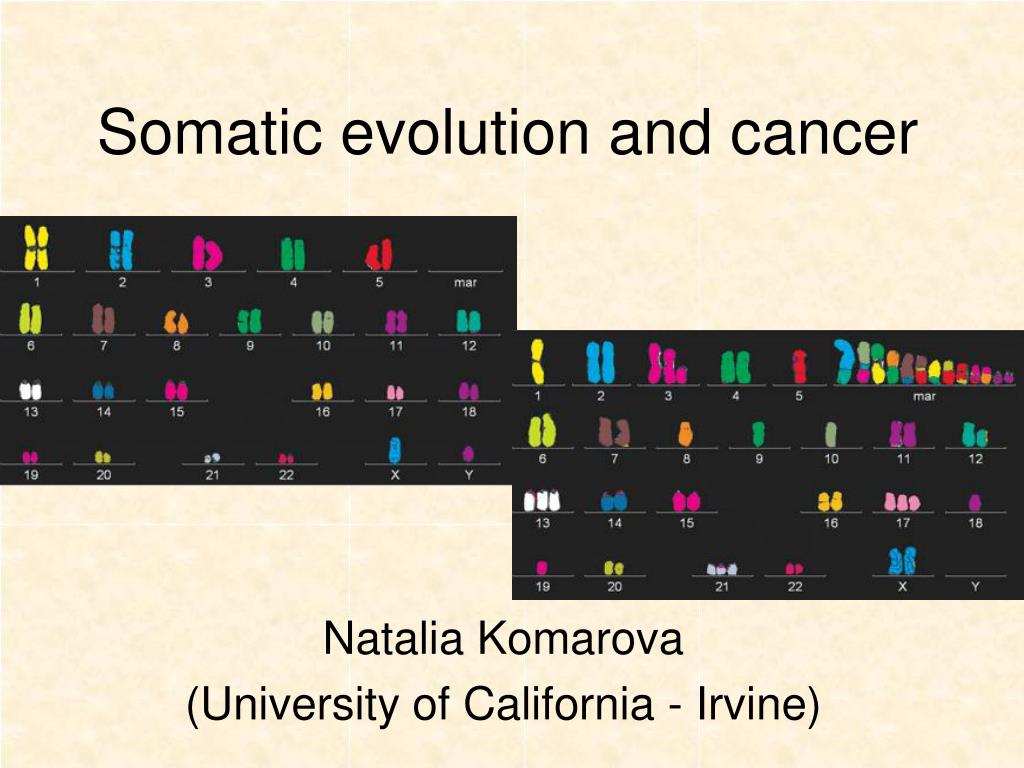 PPT - Somatic evolution and cancer PowerPoint Presentation, free ...