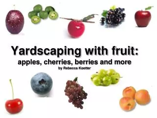 Yardscaping with fruit: apples, cherries, berries and more by Rebecca Koetter