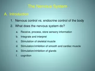 The Nervous System