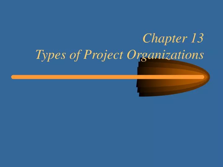 chapter 13 types of project organizations