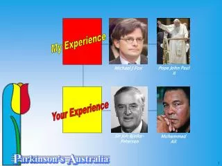 Your Experience