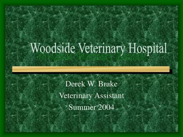derek w brake veterinary assistant summer 2004