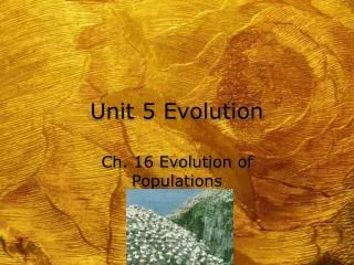 Unit 5 Evolution