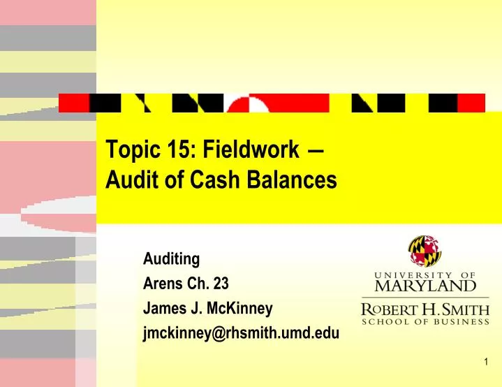 topic 15 fieldwork audit of cash balances
