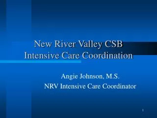 New River Valley CSB Intensive Care Coordination