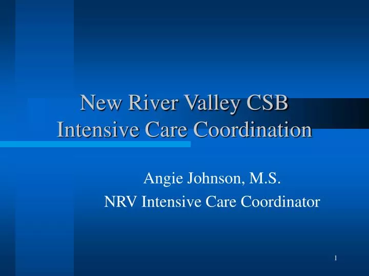 new river valley csb intensive care coordination