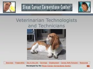 Veterinarian Technologists and Technicians