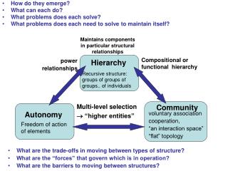 What are the trade-offs in moving between types of structure? What are the “forces” that govern which is in operation?