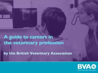 What is a vet?