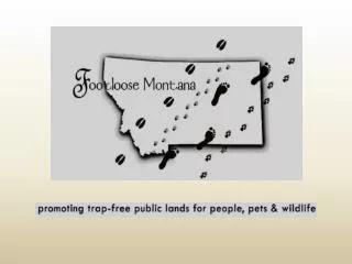 Footloose Montana