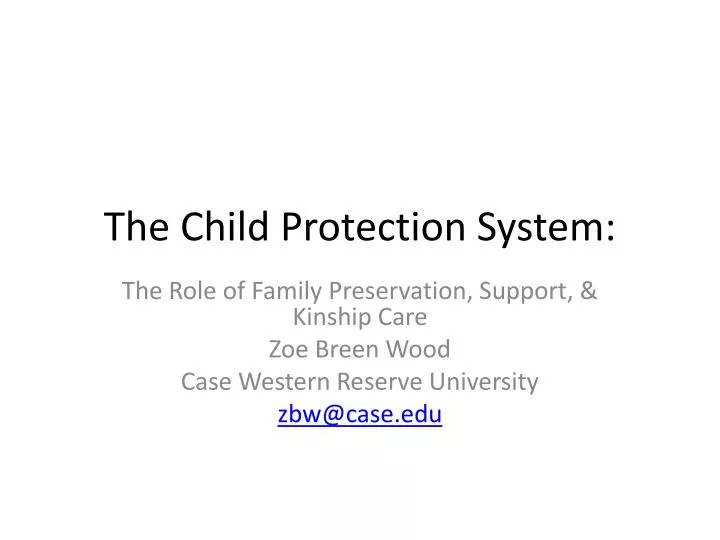 the child protection system
