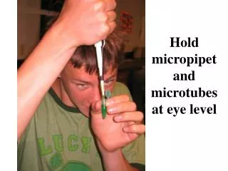 Hold micropipet and microtubes at eye level