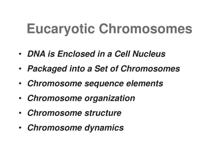 eucaryotic chromosomes