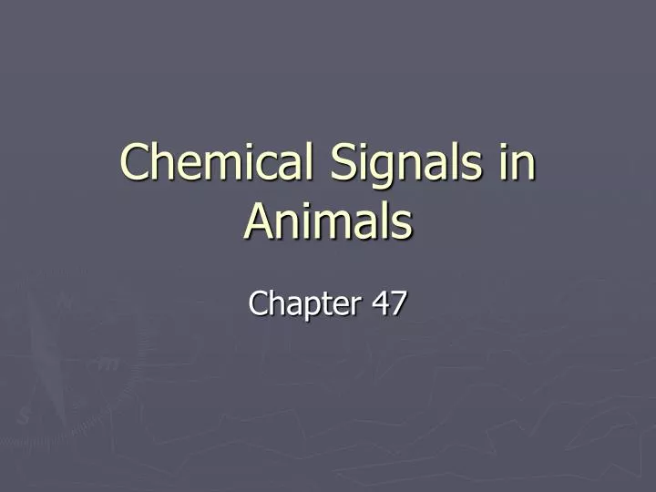chemical signals in animals