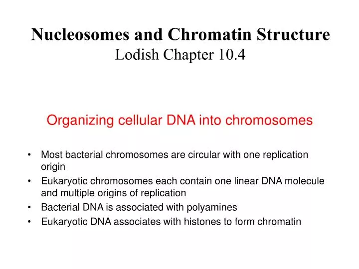 organizing cellular dna into chromosomes