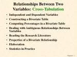 Relationships Between Two Variables: Cross-Tabulation - slide 1