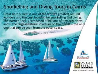 Snorkelling and Diving Tours in Cairns