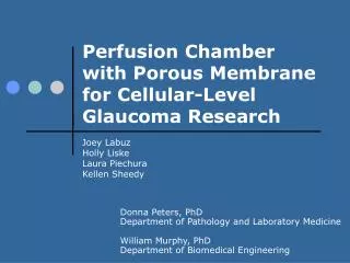 Perfusion Chamber with Porous Membrane for Cellular-Level Glaucoma Research
