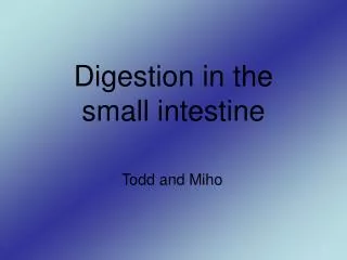 Digestion in the small intestine