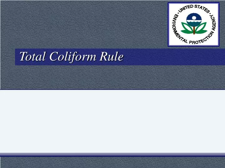 total coliform rule