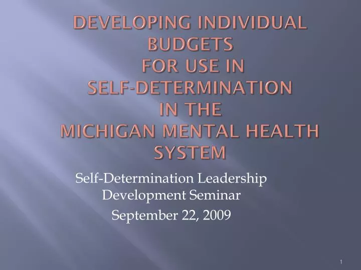 developing individual budgets for use in self determination in the michigan mental health system