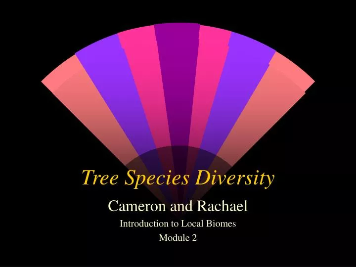 tree species diversity