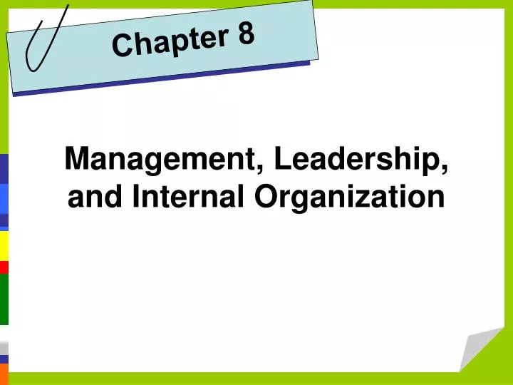 management leadership and internal organization