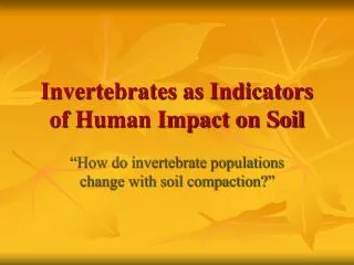 Invertebrates as Indicators of Human Impact on Soil