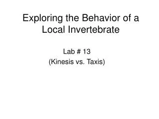 Exploring the Behavior of a Local Invertebrate