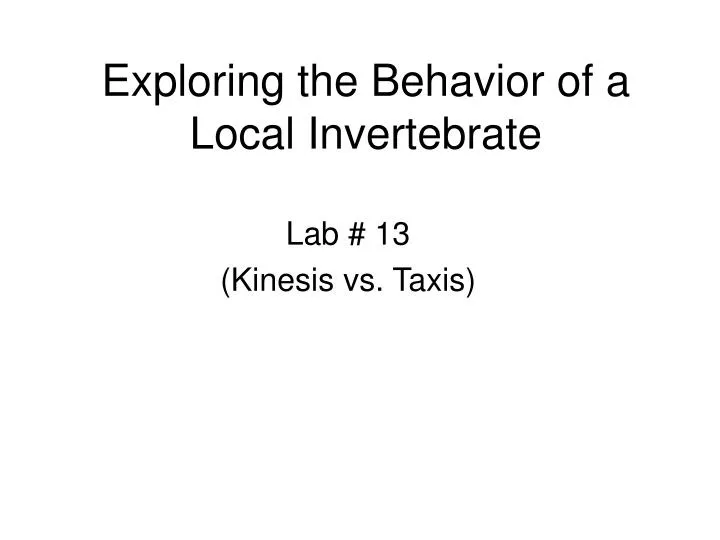 exploring the behavior of a local invertebrate