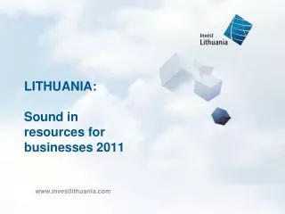 LITHUANIA: Sound in resources for businesses 2011