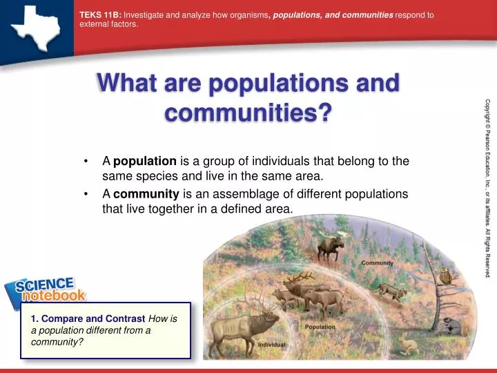 what are populations and communities