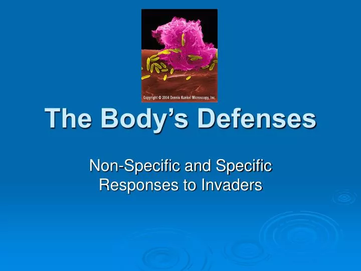 the body s defenses