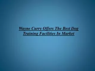 Wayne Curry Offers The Best Dog Training Facilities In Marke