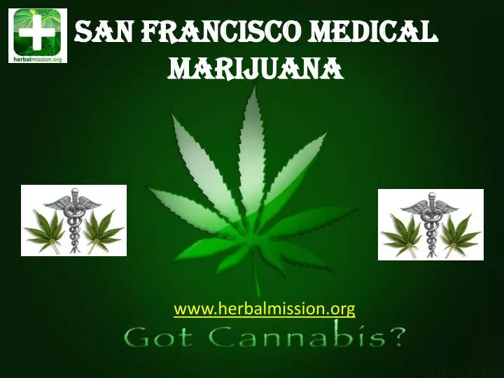 san francisco medical marijuana