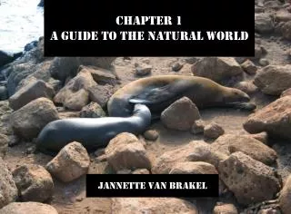 Chapter 1 A Guide to the Natural World