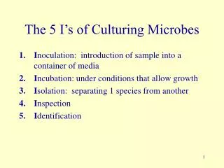 The 5 I’s of Culturing Microbes