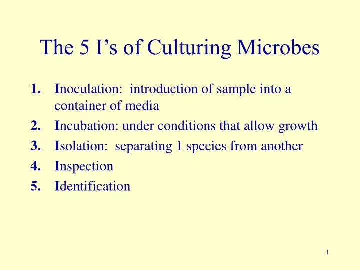 the 5 i s of culturing microbes