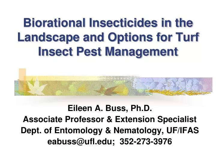 biorational insecticides in the landscape and options for turf insect pest management