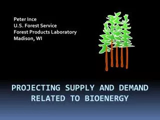 Projecting supply and demand related to bioenergy