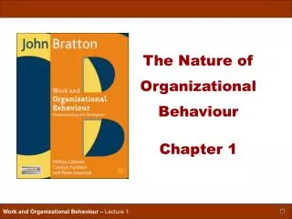 The Nature of Organizational Behaviour Chapter 1