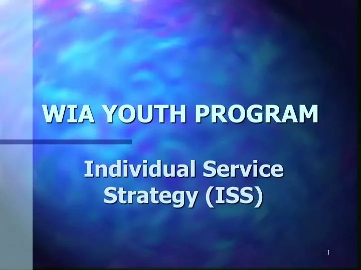 wia youth program